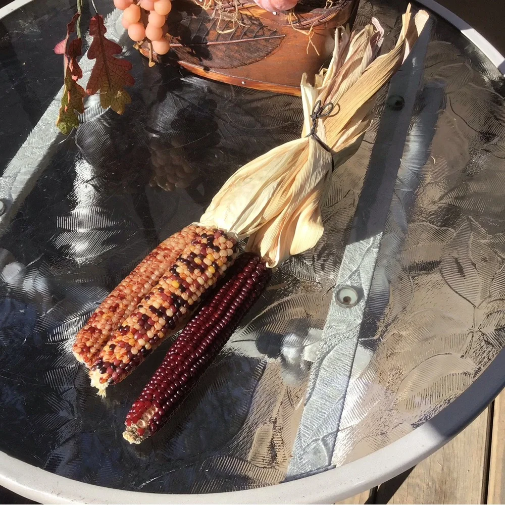 Fall Decor Bundle All in EUC!